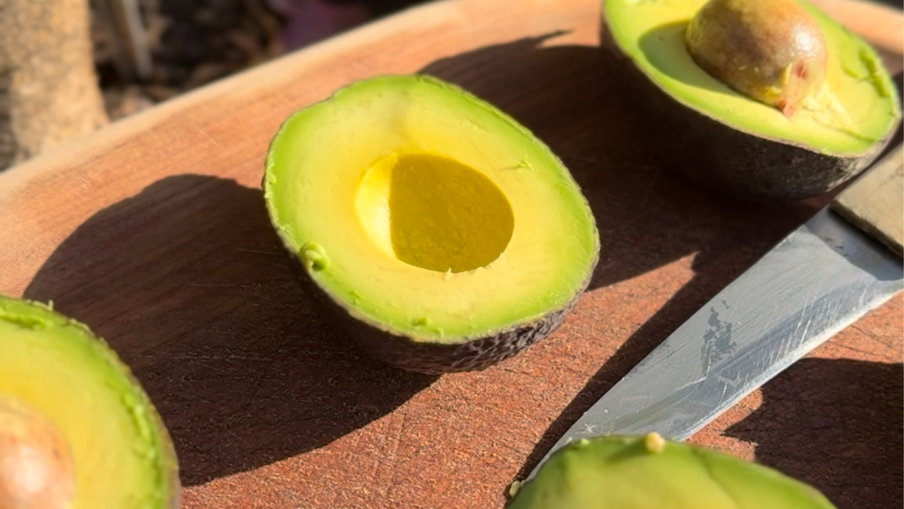 Palta Hass 1 Kg